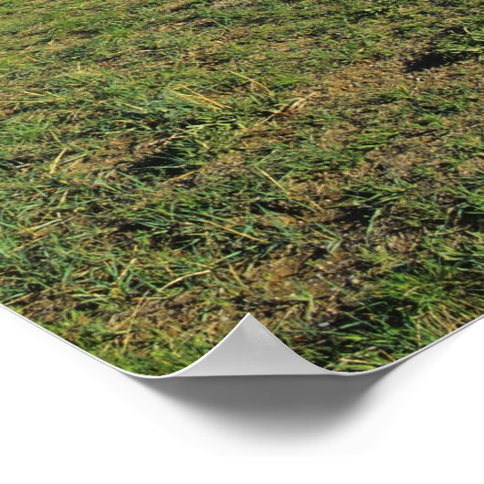 Conestoga Waggon bei Scottsbluff National Poster (Ecke)