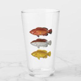 Coney Grouper Drink Glass Glas