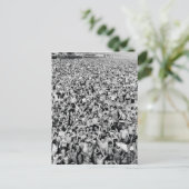 Coney Island Bright Beach Postkarte (Stehend Vorderseite)