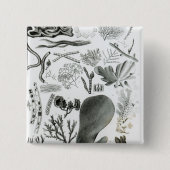 Conferra Fucus Button (Vorderseite)