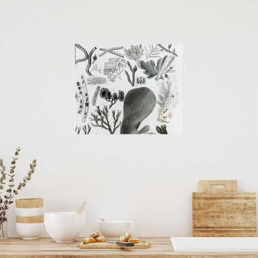 Conferra Fucus Poster (Küche)