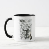 Conferra Fucus Tasse (Links)