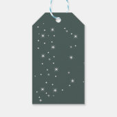 Confetti Watercolor Pine Tree Branches Geschenkanhänger (Rückseite)