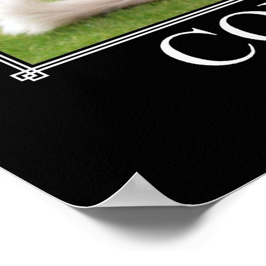 Confidence Cat Artwork Funny Poster (Ecke)