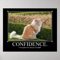 Confidence Cat Artwork Funny
