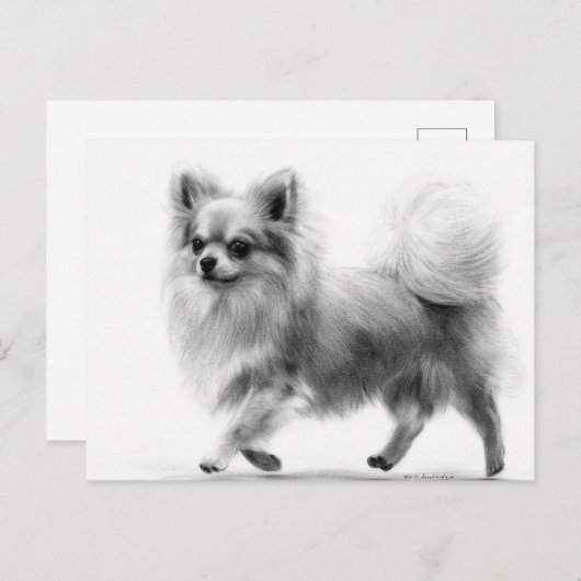 Confident Steps Hand bemalt Chihuahua Postkarte (Vorne/Hinten)