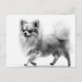 Confident Steps Hand bemalt Chihuahua Postkarte (Vorderseite)