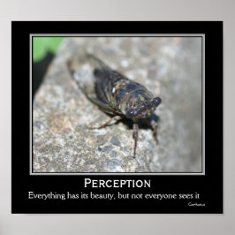 Confucius Zitat Beauty Cicada Motivierend Poster