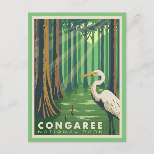 Congaree National Park SC Postkarte (Vorderseite)