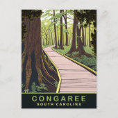 Congaree National Park South Carolina, Reisen Postkarte (Vorderseite)