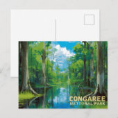 Congaree National Park Sumpf Kunst Postkarte (Vorne/Hinten)