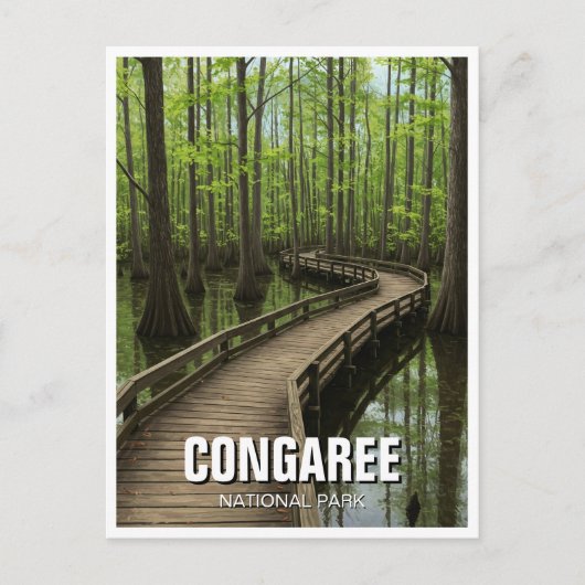 Congaree Nationalpark Süd Carolina Postkarte (Vorderseite)