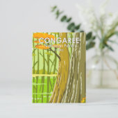 Congaree Nationalpark Süd Carolina Vintage Postkarte (Stehend Vorderseite)