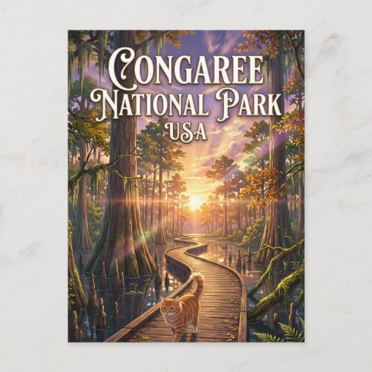 Congaree-Nationalpark USA Postkarte (Vorderseite)