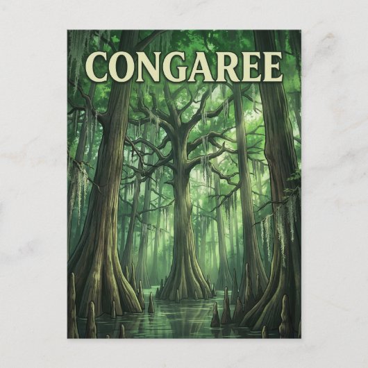 Congaree-Wald Postkarte (Vorderseite)