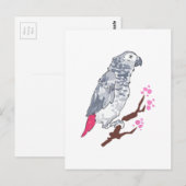 CONGO AFRICAN GRAY PARROT POSTKARTE (Vorne/Hinten)