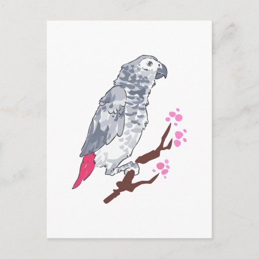 CONGO AFRICAN GRAY PARROT POSTKARTE (Vorderseite)