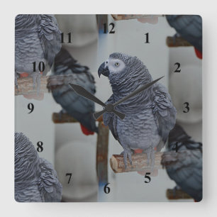 Congo African Grey Parrot in Mirror Quadratische Wanduhr