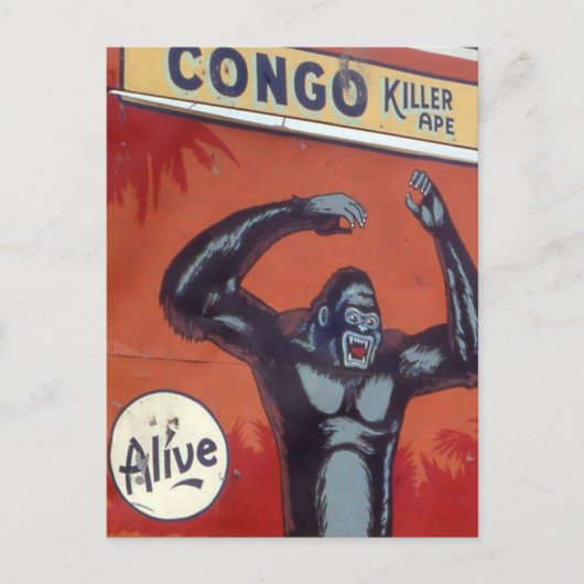 Congo der Killer-Affe Zirkus-Seitenshow Postkarte (Vorderseite)