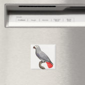 CONGO GRAY PARROT MAGNET (In Situ (Geschirrspüler))
