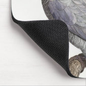 CONGO GRAY PARROT MOUSEPAD (Ecke)