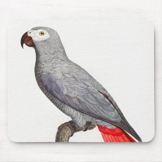CONGO GRAY PARROT MOUSEPAD (Vorne)