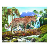 CONGO LEOPARD FOTODRUCK (Vorne)