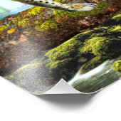 CONGO LEOPARD FOTODRUCK (Ecke)