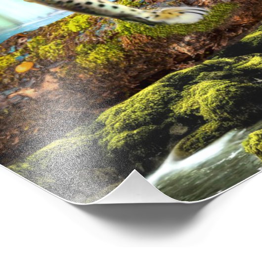 CONGO LEOPARD FOTODRUCK (Ecke)