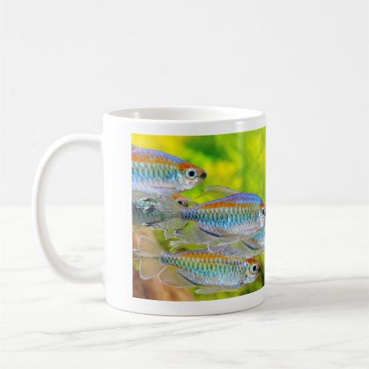 Congo tetra コーヒーマグカップ kaffeetasse (Links)