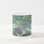 Congo tetra , Phenacogrammus interruptus Mattglastasse (Mittel)