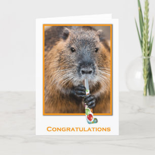 Congratulations card of beaver with flute karte