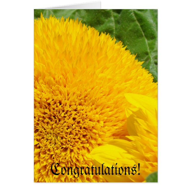 Congratulations! greeting Cards Summer Sunflowers (Vorne)