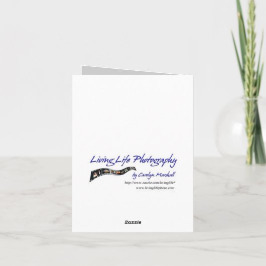 Congratulations Note Card Karte (Rückseite)