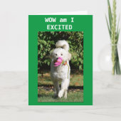 CONGRATULATIONS ON YOUR **NEW HOME** CARD KARTE (Vorderseite)