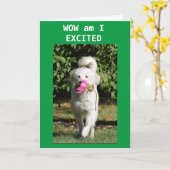 CONGRATULATIONS ON YOUR **NEW HOME** CARD KARTE (Gelbe Blume)