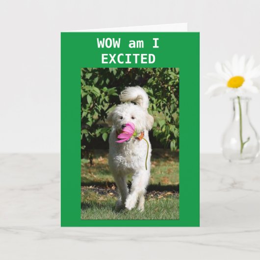 CONGRATULATIONS ON YOUR **PROMOTION** KARTE (Kleine Pflanze)