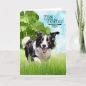 Congratulations reBARKable Border Collie Dog Karte (Vorderseite)