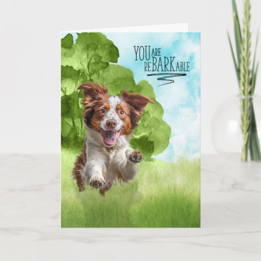 Congratulations reBARKable Brittany Spaniel Dog Karte (Vorderseite)
