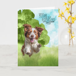 Congratulations reBARKable Brittany Spaniel Dog Karte