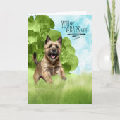 Congratulations reBARKable Cairn Terrier Dog Karte (Vorderseite)