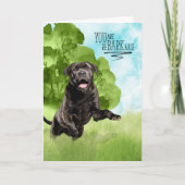Congratulations reBARKable Cane Corso Dog Karte (Vorderseite)
