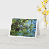 Conifer Cone on Pine Tree Karte (Gelbe Blume)