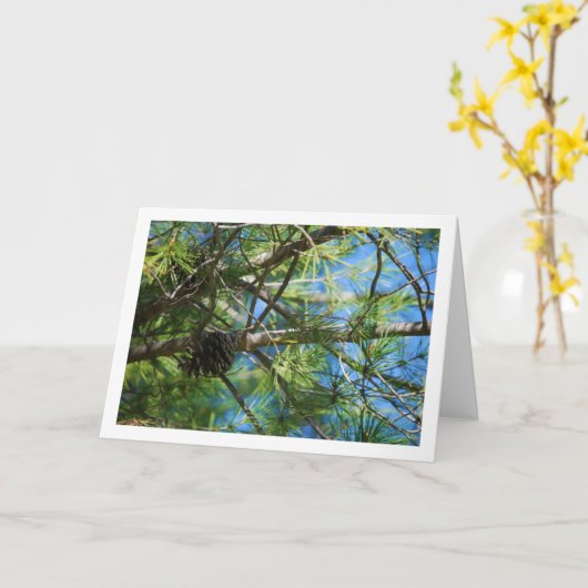Conifer Cone on Pine Tree Karte (Gelbe Blume)