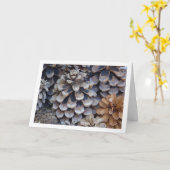 Conifer Cones Karte (Gelbe Blume)