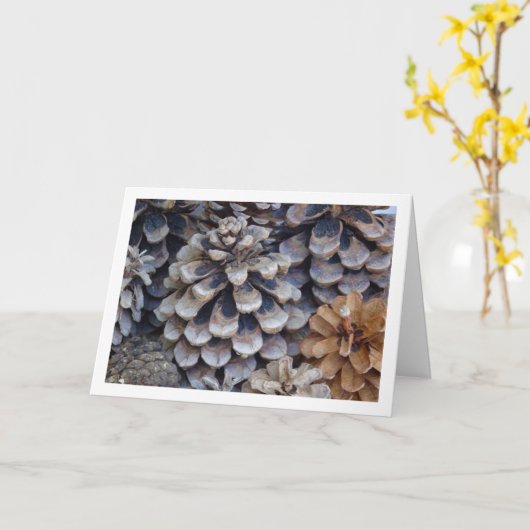 Conifer Cones Karte (Gelbe Blume)