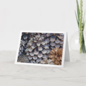 Conifer Cones Karte (Vorderseite)
