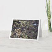 Conifer Cons auf Pine Tree Karte (Vorderseite)