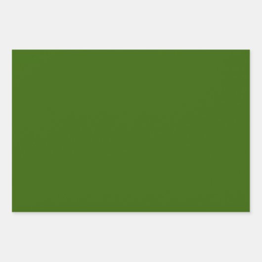 Conifer Green Geschenkpapier Set (Vorderseite 3)