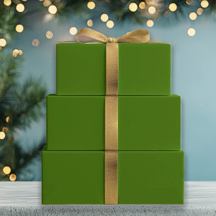 Conifer Green Geschenkpapier Set